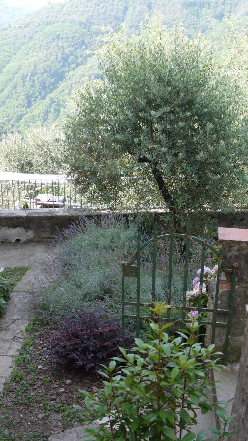 Villa Piscina Con Vista à Bagni di Lucca Extérieur photo